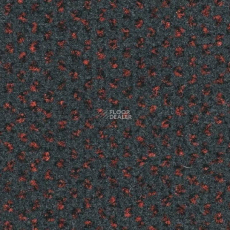 Balsan Signature 996 фото 1 | FLOORDEALER