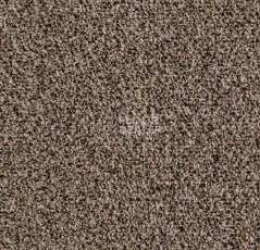 Грязезащитные покрытия Forbo Coral Go 2204 Havana Brown фото 1 | FLOORDEALER