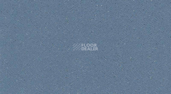 Линолеум Tarasafe Super 7438_Baleine фото 1 | FLOORDEALER