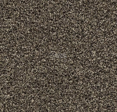 Forbo Coral Bright 2604 Virgin Sand фото 1 | FLOORDEALER