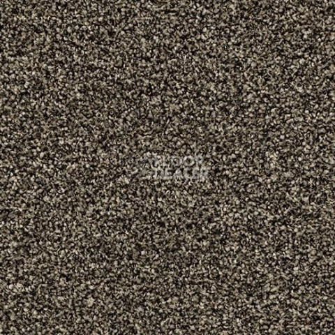 Грязезащитные покрытия Forbo Coral Bright 2604 Virgin Sand фото 1 | FLOORDEALER