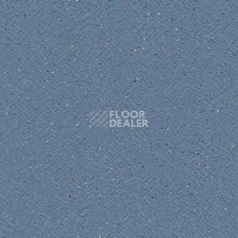 Линолеум Gerflor Tarasafe Super 7438_Baleine фото 1 | FLOORDEALER