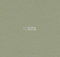 Линолеум Forbo SafeStep Aqua 180742 sage фото 1 | FLOORDEALER