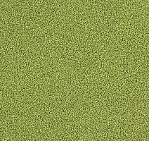 Interface Touch & Tones 102 4175015 фото 1 | FLOORDEALER