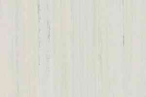 Линолеум Forbo Marmoleum Decibel on Order 525735 sandy chalk фото  | FLOORDEALER