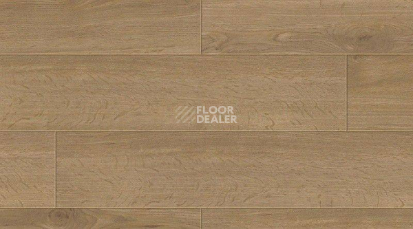 Кварцвиниловые полы Creation 55 Clic 0442_milington_oak фото 1 | FLOORDEALER