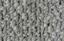 Galaxy F 019 фото 4 | FLOORDEALER