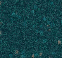 Ковролин Finett Vision Focus 605569 фото 1 | FLOORDEALER