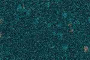 Ковролин Finett Vision Focus 605569 фото  | FLOORDEALER