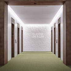 Lano Carve Classic 593 Moss 3 фото 3 | FLOORDEALER