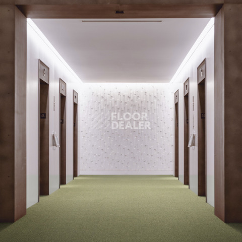 Lano Carve Classic 593 Moss 3 фото 3 | FLOORDEALER