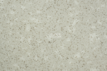 Линолеум Tarkett Acczent Pro Aspect 1 фото 1 | FLOORDEALER