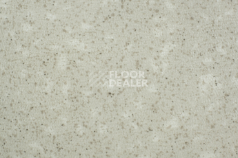 Линолеум Tarkett Acczent Pro Aspect 1 фото 1 | FLOORDEALER