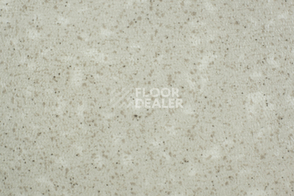 Линолеум Tarkett Acczent Pro Aspect 1 фото 1 | FLOORDEALER