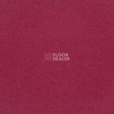 Ковровая плитка Interface Palette 2000 Pashmina фото 1 | FLOORDEALER