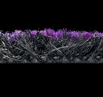 Forbo Coral Welcome 3219 Colour Purple фото 4 | FLOORDEALER