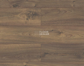 Ламинат Kronopol Platinium Testa AQUA BLOCK 8mm Kronopol Platinium Testa Aqua Block 24h Дуб Уриил D3104 фото 1 | FLOORDEALER