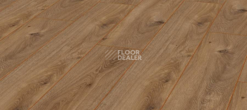 Kronotex Exquisit 8мм d4166 Дуб Престиж Натуральный фото 1 | FLOORDEALER