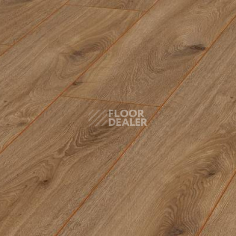 Ламинат Kronotex Exquisit 8мм d4166 Дуб Престиж Натуральный фото 1 | FLOORDEALER