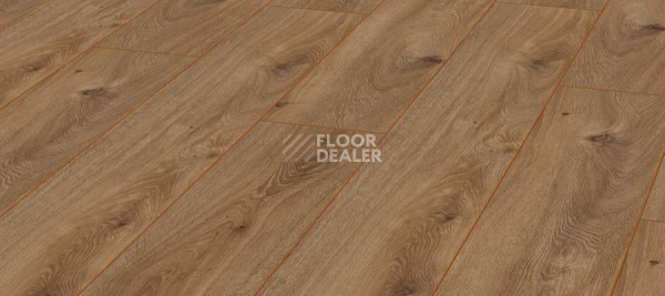 Ламинат Kronotex Exquisit 8мм d4166 Дуб Престиж Натуральный фото 1 | FLOORDEALER