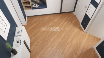Alpine Floor Sequoia (LVT) Секвойя Royal ЕСО 6-4 LVT фото 3 | FLOORDEALER