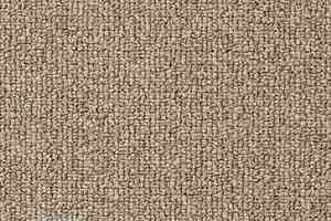 Ковролин Vorwerk Passion 1046 Vorwerk 8j74 фото  | FLOORDEALER