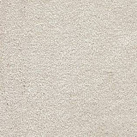 Ковролин AW Seduction 16 фото 1 | FLOORDEALER