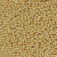 Ковролин Infloor Campino 230 фото 1 | FLOORDEALER