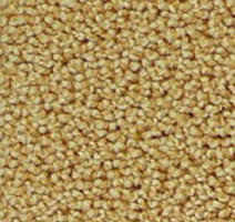 Ковролин Infloor Campino 230 фото 1 | FLOORDEALER