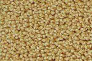 Ковролин Infloor Campino 230 фото  | FLOORDEALER