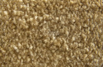 AW Masquerade Moretta 54 фото 3 | FLOORDEALER