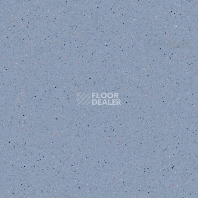 Линолеум Tarkett Zenit 704 фото 1 | FLOORDEALER