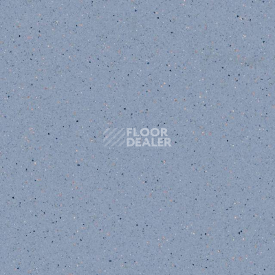 Линолеум Tarkett Zenit 704 фото 1 | FLOORDEALER