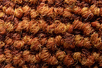 Rudiments Коллекция Basalt 273 фото 4 | FLOORDEALER