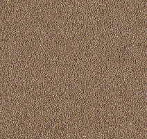 Ковровая плитка Westbond Natural w 12789 u фото 1 | FLOORDEALER