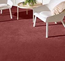 Vorwerk Superior 1069/Hermelin