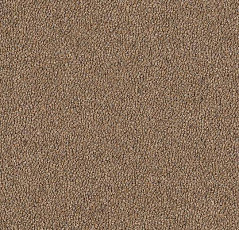 Ковровая плитка Westbond Natural w 12789 u фото 1 | FLOORDEALER