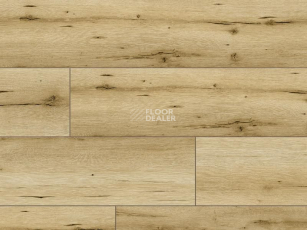 Classen Arteo 8XL WR 54831 Denali Oak /8XL фото 1 | FLOORDEALER