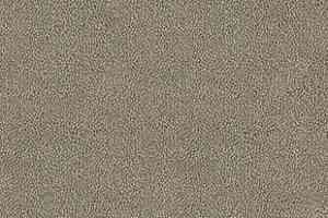 Ковролин Desso Asteranne 9086 фото  | FLOORDEALER