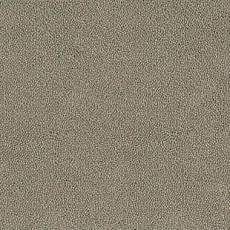 Ковролин Desso Asteranne 9086 фото 1 | FLOORDEALER