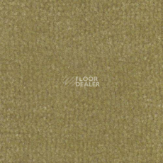 Ковролин Дюна Тафт Venetto 871 фото 1 | FLOORDEALER