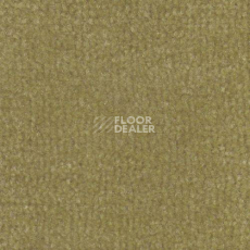 Ковролин Дюна Тафт Venetto 871 фото 1 | FLOORDEALER