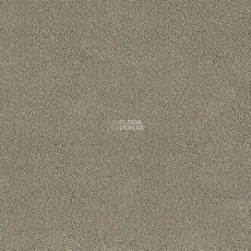 Desso Asteranne 9086 фото 1 | FLOORDEALER