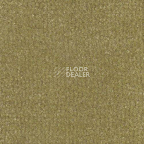 Ковролин Дюна Тафт Venetto 871 фото 1 | FLOORDEALER