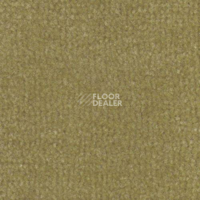 Ковролин Дюна Тафт Venetto 871 фото 1 | FLOORDEALER