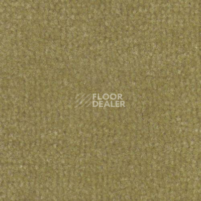 Ковролин Дюна Тафт Venetto 871 фото 1 | FLOORDEALER