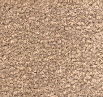 Ковролин Emphatic Beaulieu of America 56153 фото 1 | FLOORDEALER