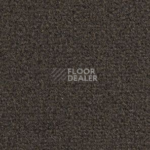 Ковролин Balsan Les Greens II Confort Les Greens II 795 фото 1 | FLOORDEALER
