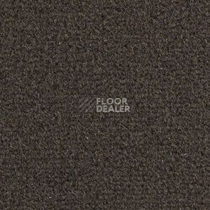 Ковролин Balsan Les Greens II Confort Les Greens II 795 фото 1 | FLOORDEALER