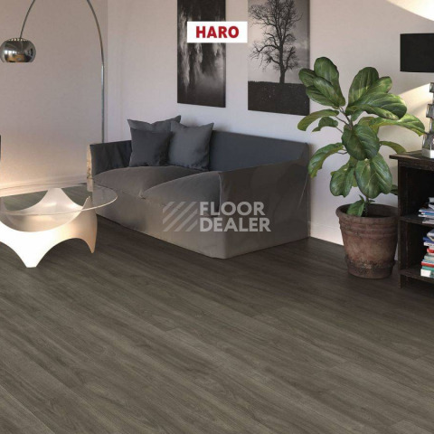 Haro Tritty 200 Aqua 4V ДУБ ЭЛЕГАНЗА АНТИЧНЫЙ СЕРЫЙ 541555 фото 2 | FLOORDEALER